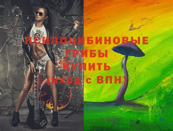круглые Алзамай