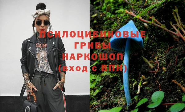 круглые Алзамай