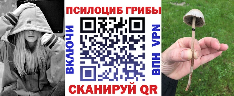KRAKEN зеркало  Калтан  Псилоцибиновые грибы мухоморы 